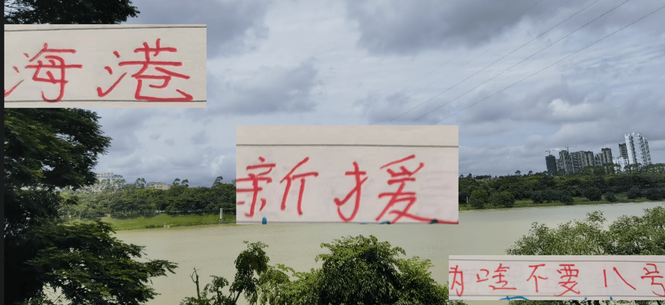 相比去年的, itc