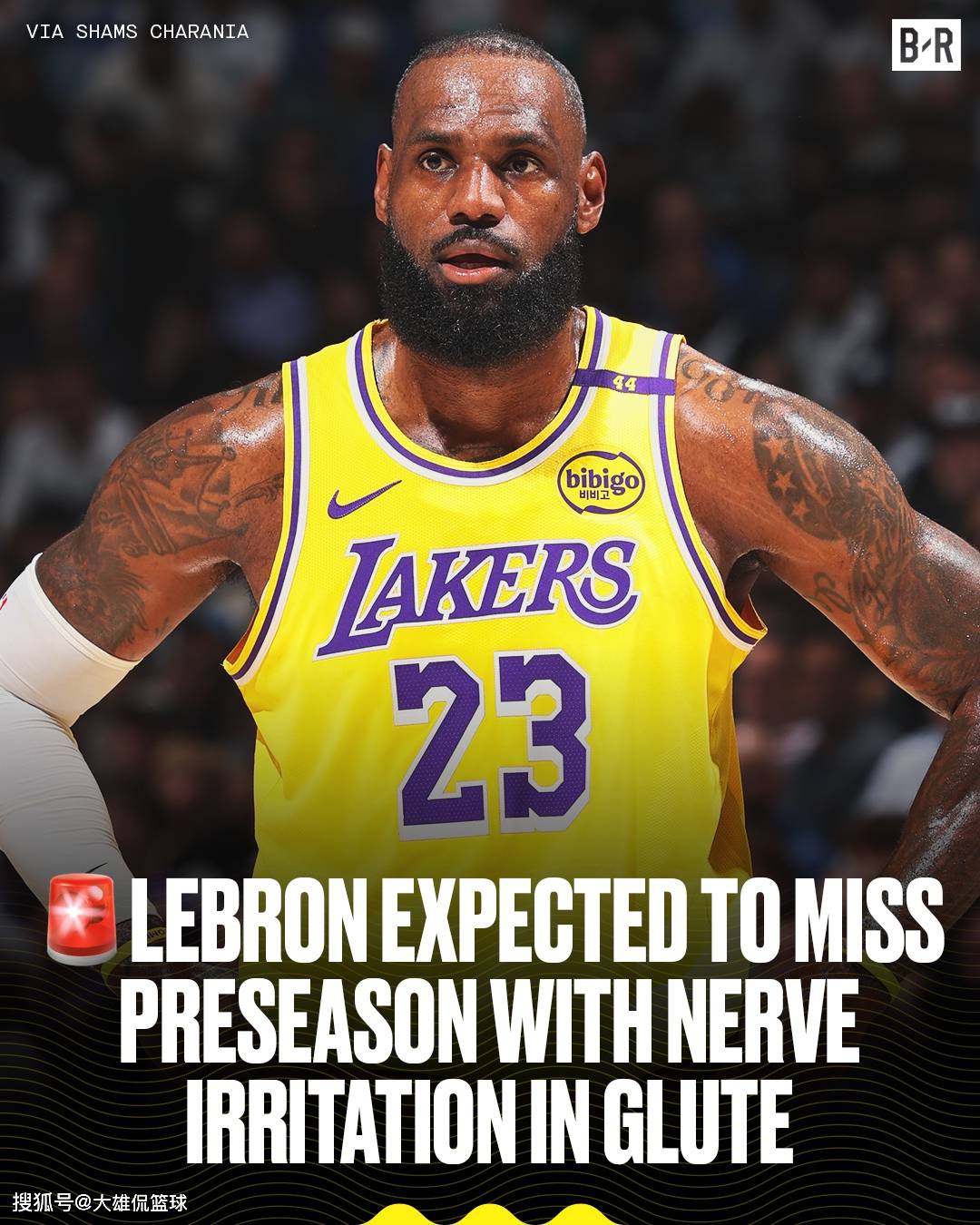 现在的湖人, 勒布朗詹姆, 詹姆斯化的